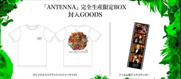 Mrs. GREEN APPLE 티셔츠