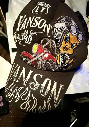 VANSON 반손 메쉬 캡 LTV 자수 트위티