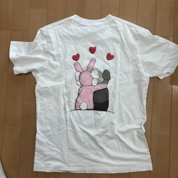 카우스