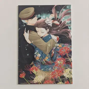 나비 독, 히데오, 포켓 캔버스