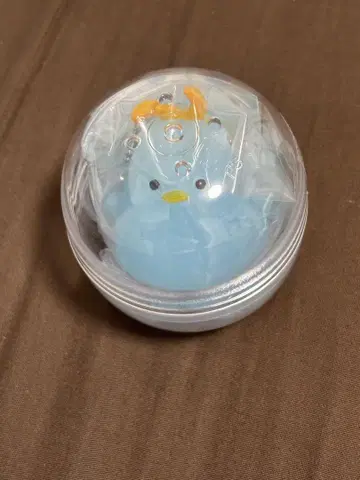 젤피요 시미즈 쇼타