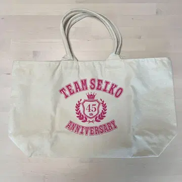 TEAM SEIKO 빅 백 NATURAL 중고