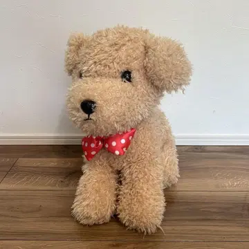 토이푸들 모카 big 봉제 인형