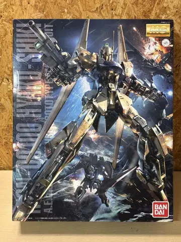 MG 1/100 MSN-00100 백식