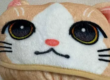후지와라 키 프로 담요