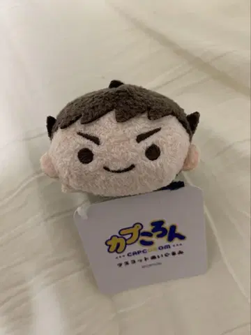 역전재판 나루호도 류노스케 캡코론 캡콤 스토어 대역전재판 미사용 새상품