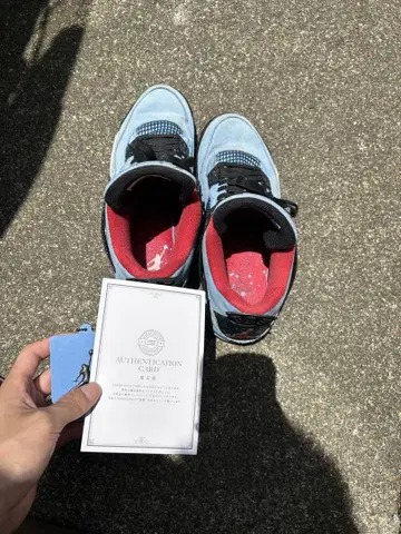 Air jordan 4 travis