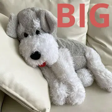 혀 내민 늘어진 슈나우저 울트라 BIG 70cm