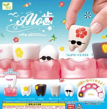 alo 치아 아로 치아 아로 치아 아로하 총 6종 컴프 세트