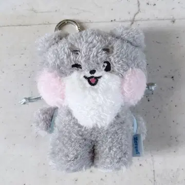 고니니 메시지 플러시 키링 제베원