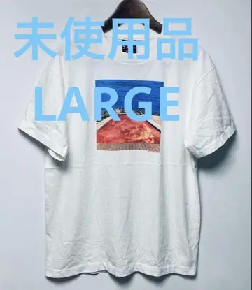 미사용품 RED HOT CHILI PEPPERS S/S TEE USA