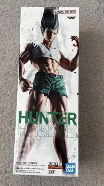 익명 배송 HUNTER x HUNTER 곤 씨 피규어 피그라이프