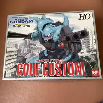 HG GOUF CUSTOM 1/144 스케일