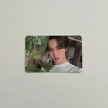 cravity Dare to Crave 디지파 스타시 트레이딩 카드 태용