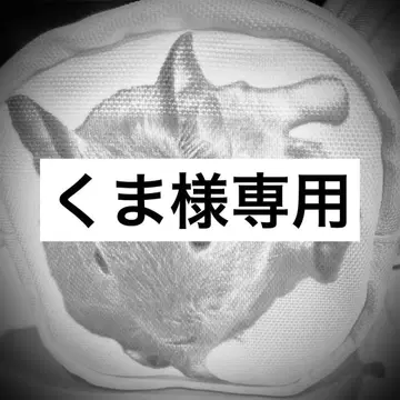 오더 파우치
