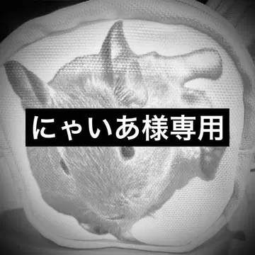 오더 파우치