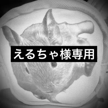 오더 파우치