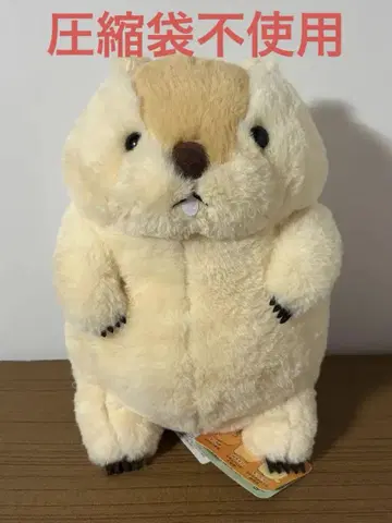 마모트의 모토토 울트라 BIG 봉제 인형