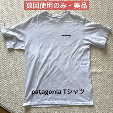 patagonia 파타고니아 티셔츠