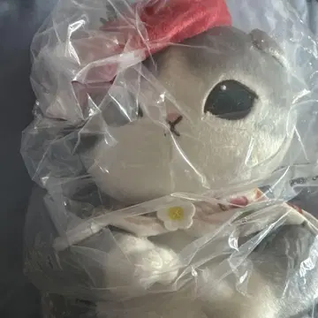 후르츠 팔러 모프 샌드 후르츠 B상 1번 복권 봉제 인형 고양이