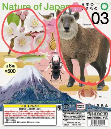 네이처 테크니컬러 일본 생물 3 2종