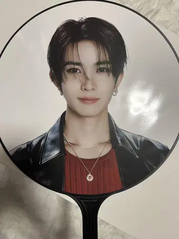 히스 부채