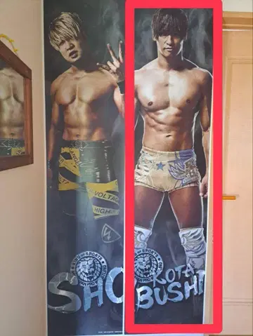 이이부 코타 영화 포스터 신일본 프로레슬링
