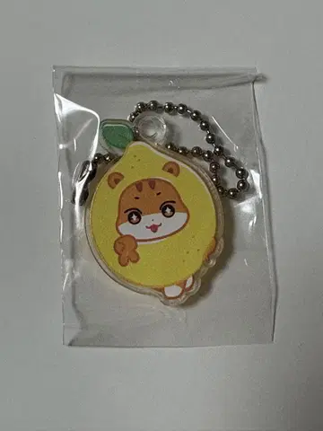 춘라미 아크링 키링