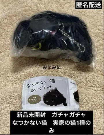 미개봉 새상품 가챠가챠 낯을 가리는 고양이 본가 고양이 1종만