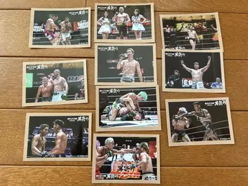 복권 플라 RIZIN 남자 축제 D상 공식 사진 스티커 10장 세트