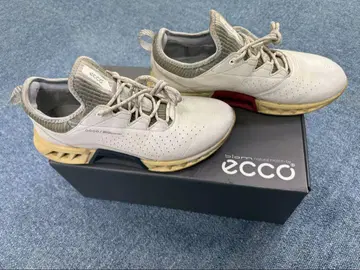 Ecco 에코 골프화 40 사이즈