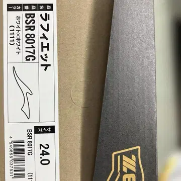 제트 라피에트