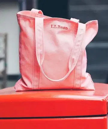 L.L.Bean/ 레코드 토트 백 보노르 레코드