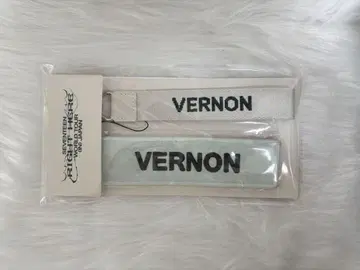SEVENTEEN 버논 라이히아 네임 와펜