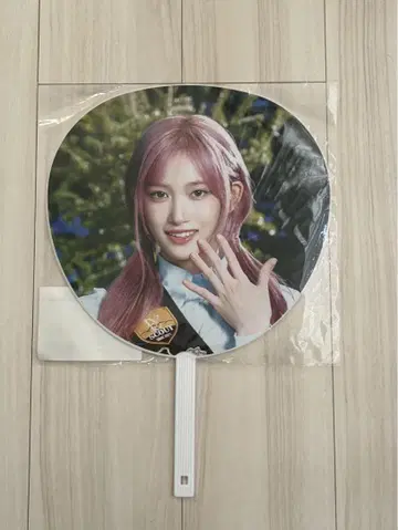 IVE 이소 부채