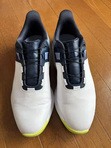풋조이 골프화 56926J 25.5cm