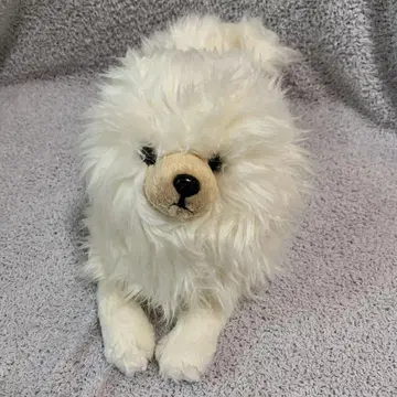 선 레몬 봉제 인형 무릎 개 스피츠 포메라니안 화이트