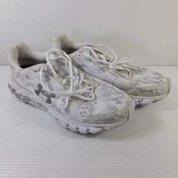 Under Armour 러닝화 화이트/그레이