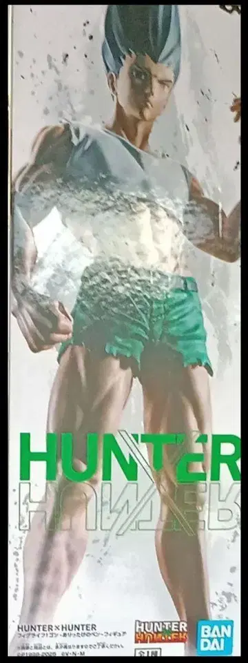 HUNTER x HUNTER 곤 피그라이프 피규어