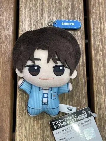 TWS 시뉴 SHINYU SD 인형