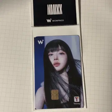 NMIXX wowpass 헤원 와오패스 T 머니 카드 한국
