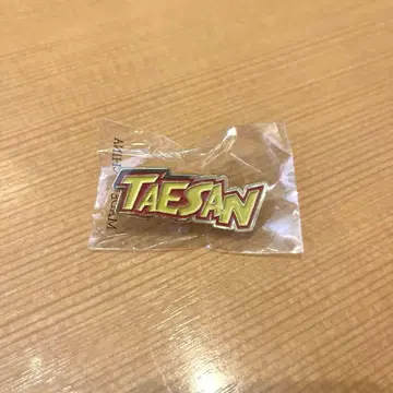 보넥도 TAESAN 핀 배지