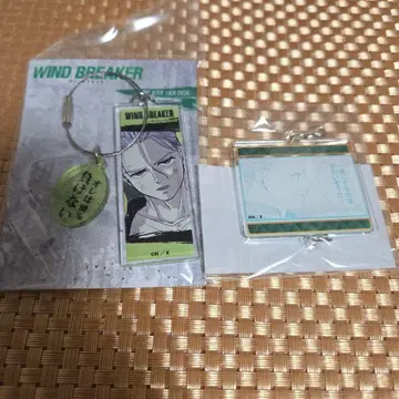 WIND BREAKER 우메미야 이치 와이어 키링