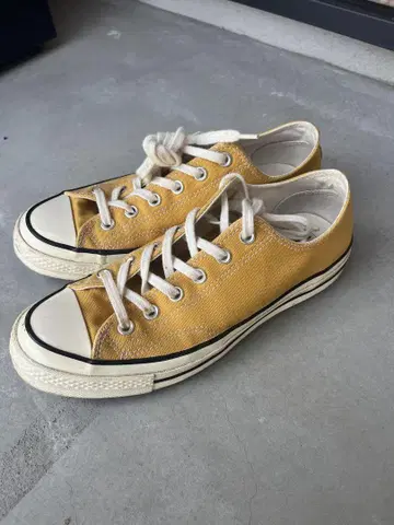 CT70 썬플라워 26cm