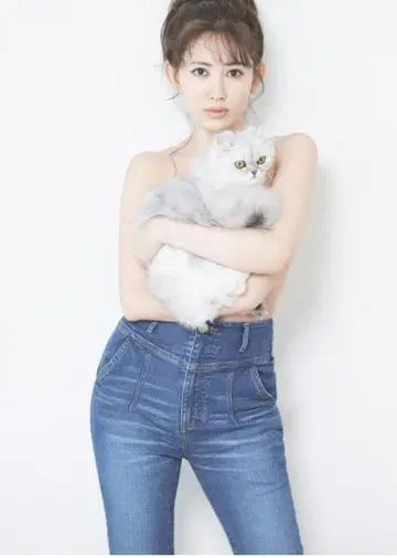 herlipto paris high rise jeans