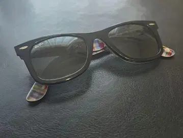 Ray-Ban 웨이퍼러