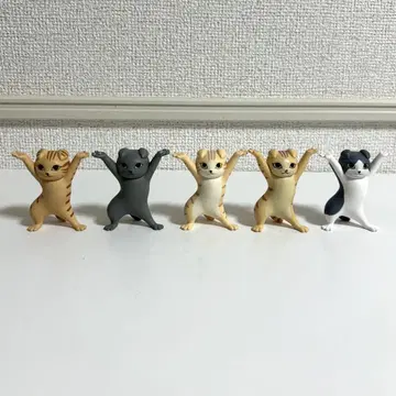고양이 펜꽂이 5개 세트