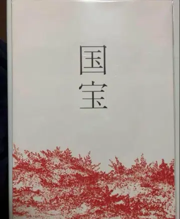 영화 국보 팜플렛 새상품 미독 요시자와 료 요코하마 유성