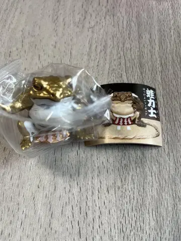 개구리 레슬러 시크릿 요코즈나