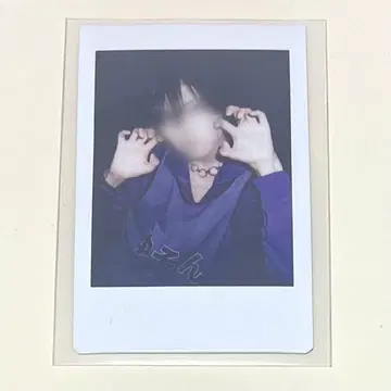 라부시쿠 유손 폴라로이드 저리